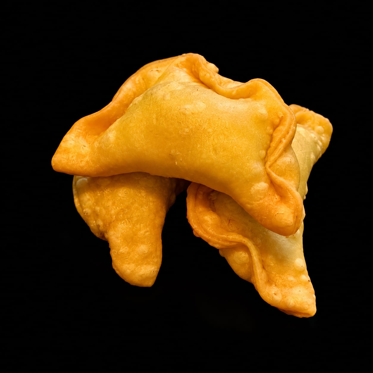Gyosas de Salmón